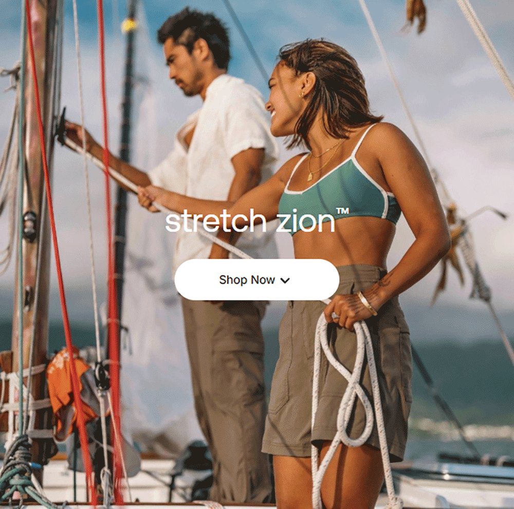 stretch zion™