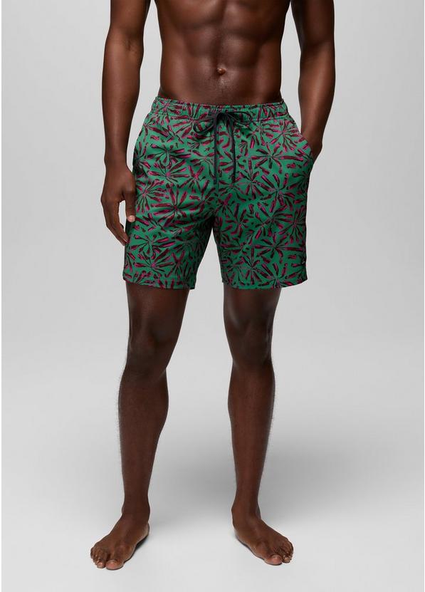 La Jolla Lined Swim Short Jade Grounded