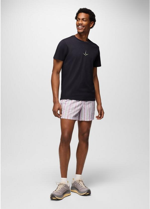 Indio Heritage Short Luminous